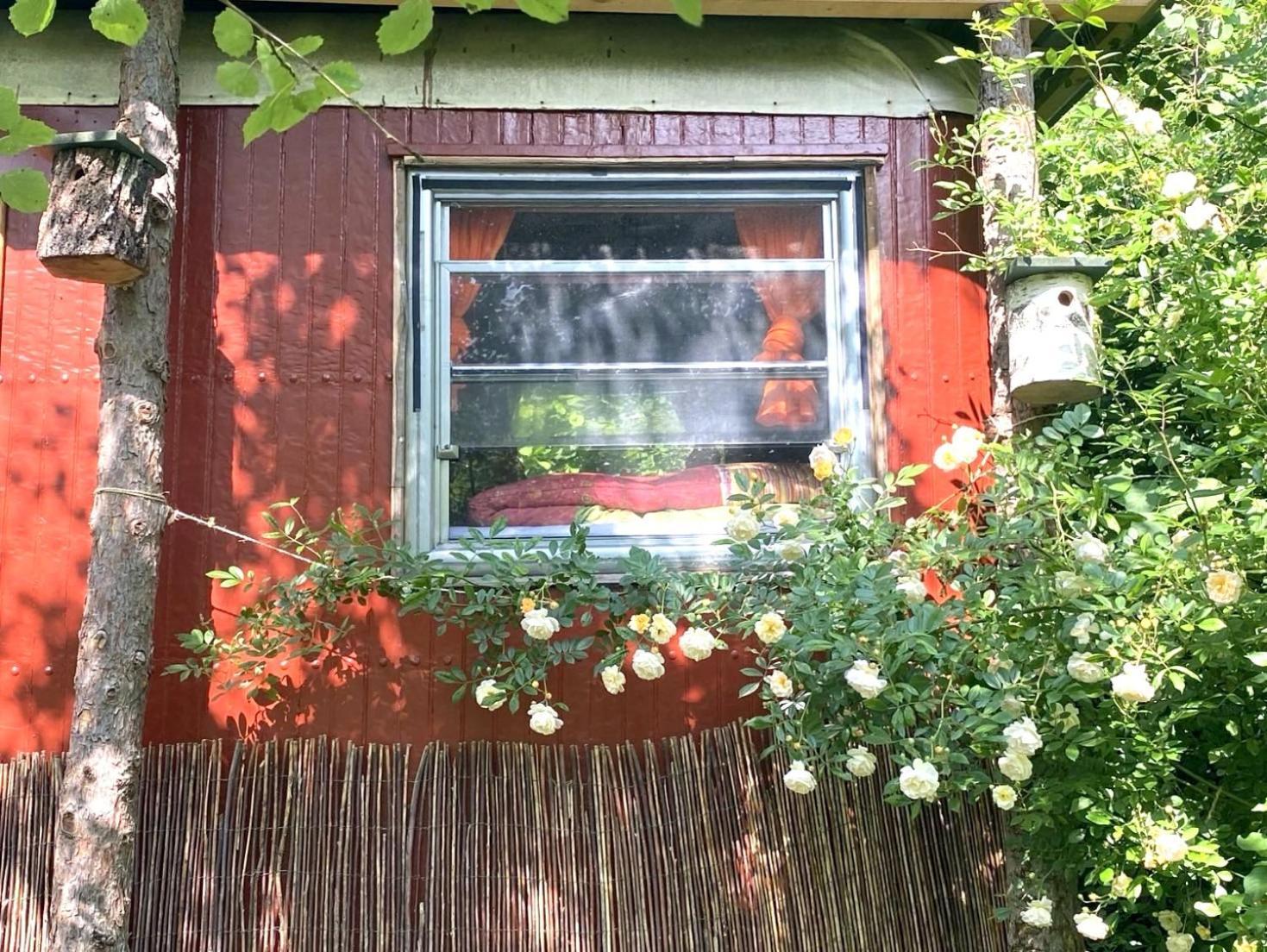 Kuscheliger Zirkuswagen Im Wildgarten 维岑豪森 外观 照片