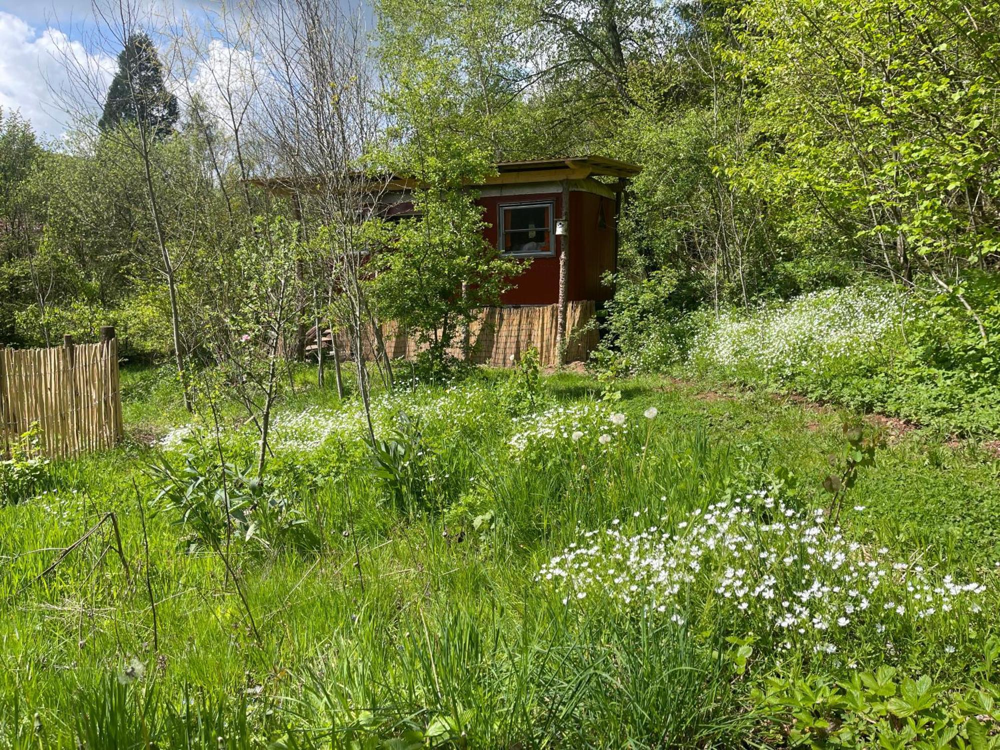 Kuscheliger Zirkuswagen Im Wildgarten 维岑豪森 外观 照片